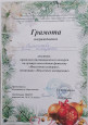 Грамота участника 