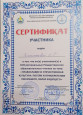 Сертификат  участника XIII Региональных Рождественских образовательных чтениях 