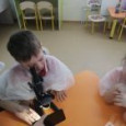 Экспериментирование