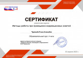 Дипломы, грамоты, сертификаты 2022-2023