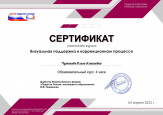 Дипломы, грамоты, сертификаты 2022-2023