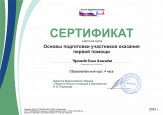 Дипломы, грамоты, сертификаты 2023-2024 уч. год
