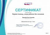 Дипломы, грамоты, сертификаты 2023-2024 уч. год
