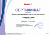 Дипломы, грамоты, сертификаты 2023-2024 уч. год