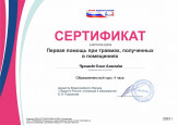 Дипломы, грамоты, сертификаты 2023-2024 уч. год