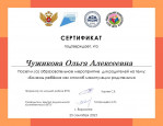 Дипломы, грамоты, сертификаты 2023-2024 уч. год