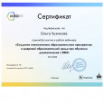 Дипломы, грамоты, сертификаты 2023-2024 уч. год