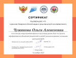 Дипломы, грамоты, сертификаты 2023-2024 уч. год