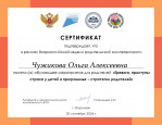 Дипломы, грамоты, сертификаты 2024-2025 уч. г.