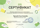 Дипломы, грамоты, сертификаты 2024-2025 уч. г.