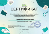 Дипломы, грамоты, сертификаты 2024-2025 уч. г.