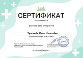 Дипломы, грамоты, сертификаты 2024-2025 уч. г.