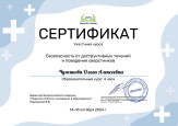 Дипломы, грамоты, сертификаты 2024-2025 уч. г.