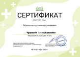 Дипломы, грамоты, сертификаты 2024-2025 уч. г.