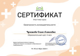 Дипломы, грамоты, сертификаты 2024-2025 уч. г.