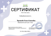 Дипломы, грамоты, сертификаты 2024-2025 уч. г.
