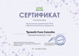 Дипломы, грамоты, сертификаты 2024-2025 уч. г.