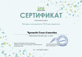 Дипломы, грамоты, сертификаты 2024-2025 уч. г.