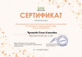 Дипломы, грамоты, сертификаты 2024-2025 уч. г.