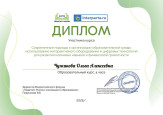 Дипломы, грамоты, сертификаты 2024-2025 уч. г.