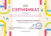Транслирование опыта профессиональной деятельности