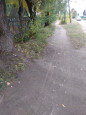 Осенний субботник 