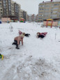 Представить жизнь без снега просто невозможно.