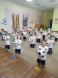 Занятия по физической культуре в старших группах детского сада.