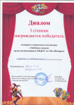 Уровень ДОУ