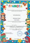 Районный уровень