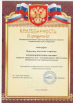 Районный уровень