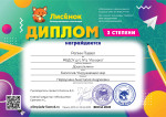 Всероссийский уровень