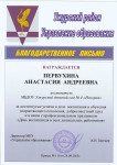 Районный уровень