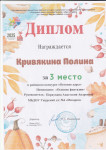 Районный уровень