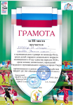 Районный уровень
