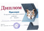 Районный уровень