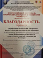 Районный уровень
