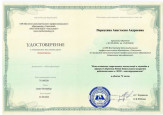 2023 год