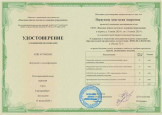 2024 год