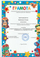 Районный уровень