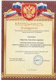 Районный уровень