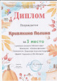 Районный уровень