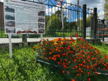 Социальные акции