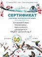 Всероссийская экологическая акция "День зимующих птиц".