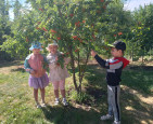 Прогулка.