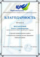 муниципальные награды