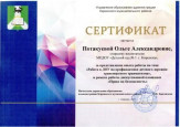 представление опыта по ПДД