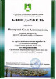 эффективные практики - ИРО
