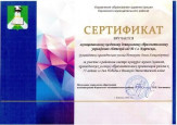 Муниципальный конкурс - конкурс музеев