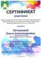 игровой практикум- Макет Киренск-город на острове,как инновационная  форма  образовательного пространства ДОУ